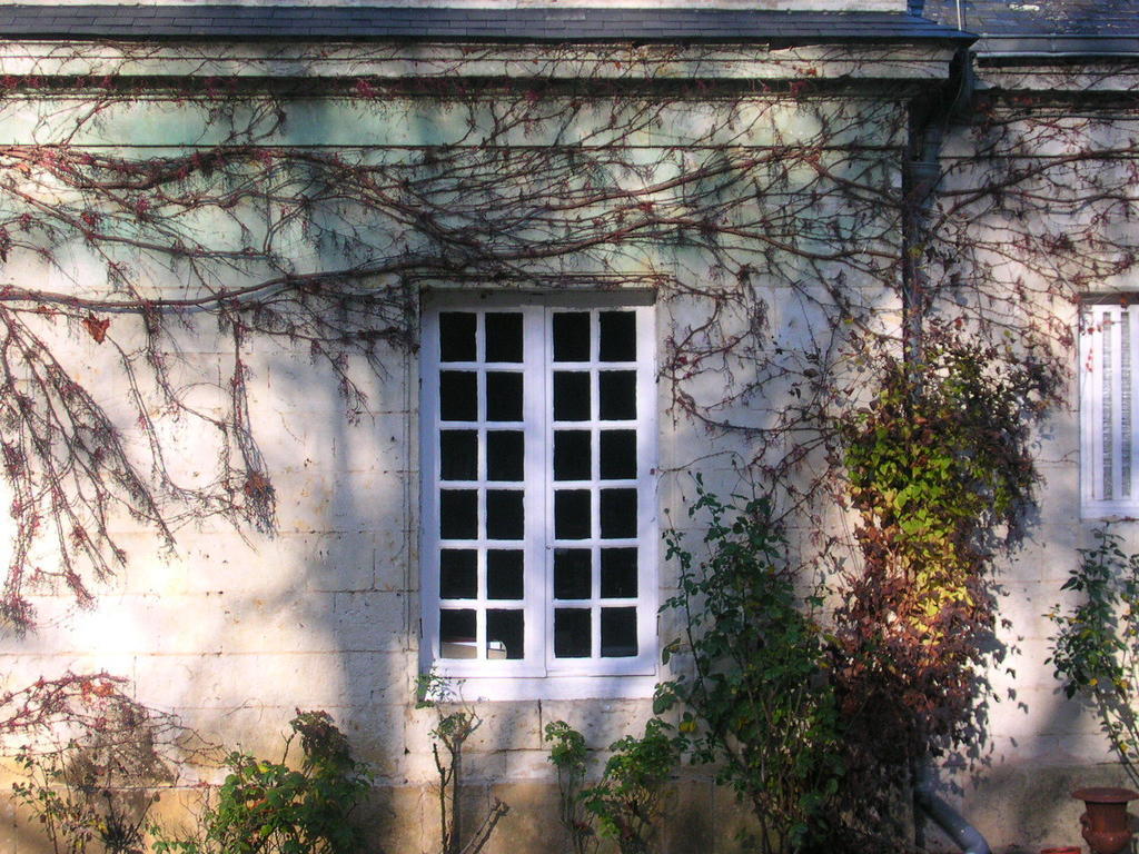 Bed and Breakfast La Mesnagerie Jarzé Esterno foto